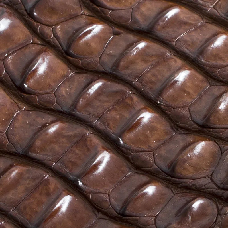 Skóra z krokodyla - hornback backstrap - jasny brąz – CraftPoint