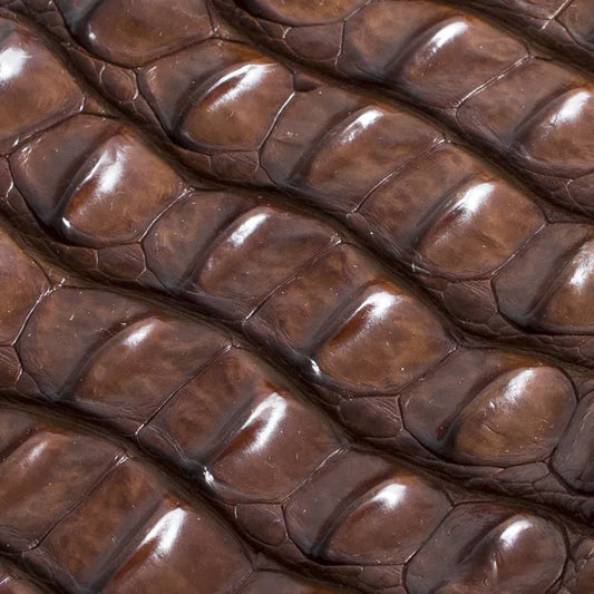 Skóra z krokodyla - hornback backstrap - jasny brąz – CraftPoint